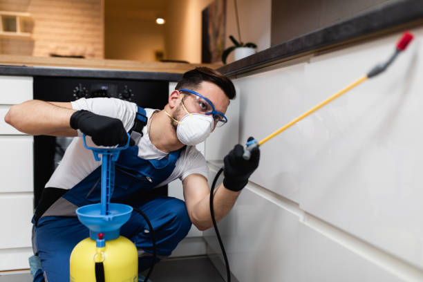 Best Best Pest Control Near Me  in Mountain Home, ID