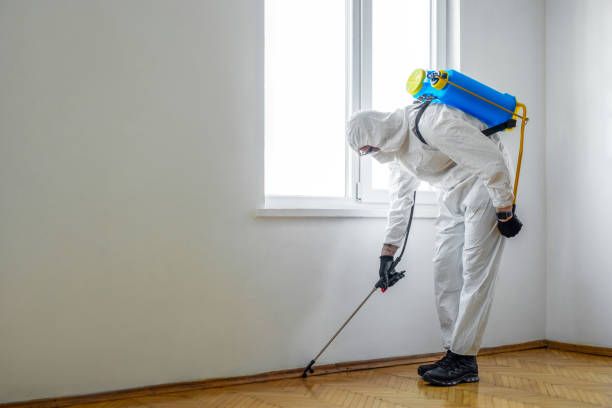 Best Residential Pest Control  in Mountain Home, ID