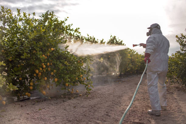 Best Wildlife Control Services  in Mountain Home, ID