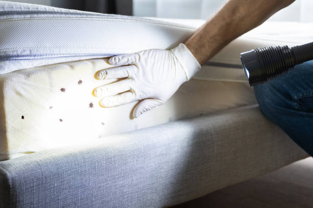 Best Pest Prevention Services  in Mountain Home, ID