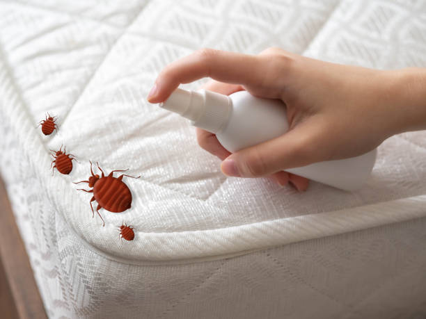 Best Best Pest Control Companies  in Mountain Home, ID